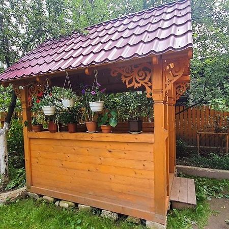 Приватна Садиба Vinemax Worochta Exterior foto